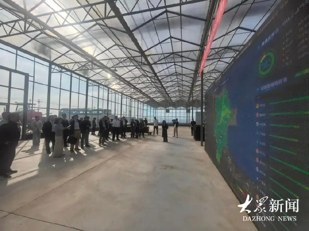 盐碱地“改写”新可能：智慧农业赋能乡村振兴