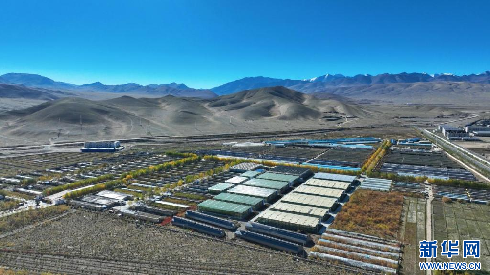 阿里噶尔县生态农业产业园打造高原现代智慧农业